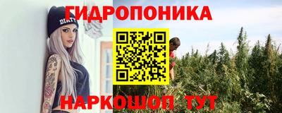 индика Пугачёв