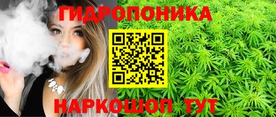 индика Пыть-Ях